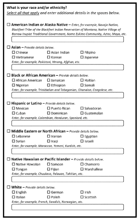 Representation of a questionnaire with prompt "What is your race and/or ethnicity? Select all that apply and ener additional details in the spaces below." The options are American Indian or Alaska Native, Asian, Black or African American, Hispanic or Latino, Middle Eastern or North African, Native Hawaiian or Pacific Islander, and White. Each option has a white box to provide further context. 